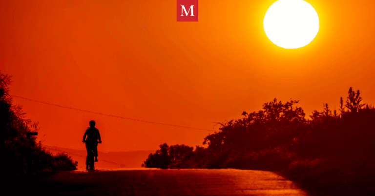 maggots wheelie bins hot weather​